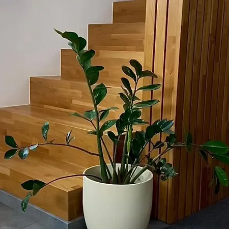 بيت للعطل Sauna Plzen Plzen
