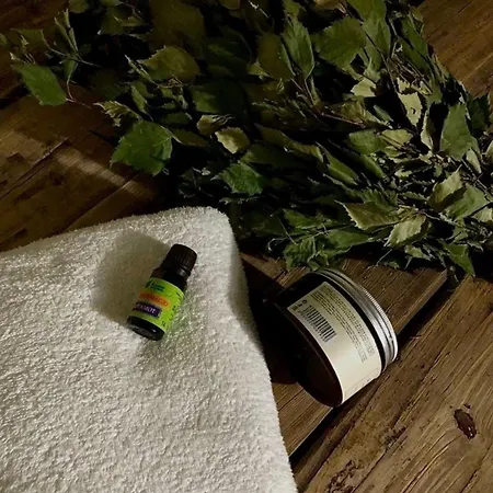 Sauna Plzen Plzen بيت للعطل Zbuch